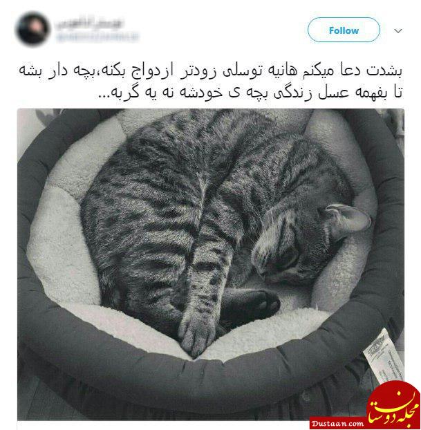 مرگ گربه هانیه توسلی سوژه طنز کاربران شد + تصاویر