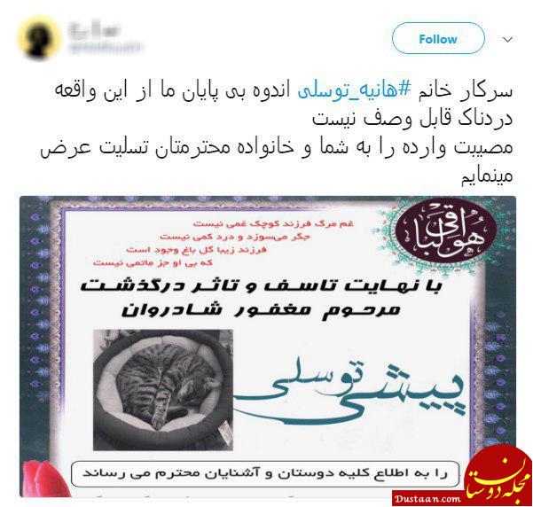 مرگ گربه هانیه توسلی سوژه طنز کاربران شد + تصاویر
