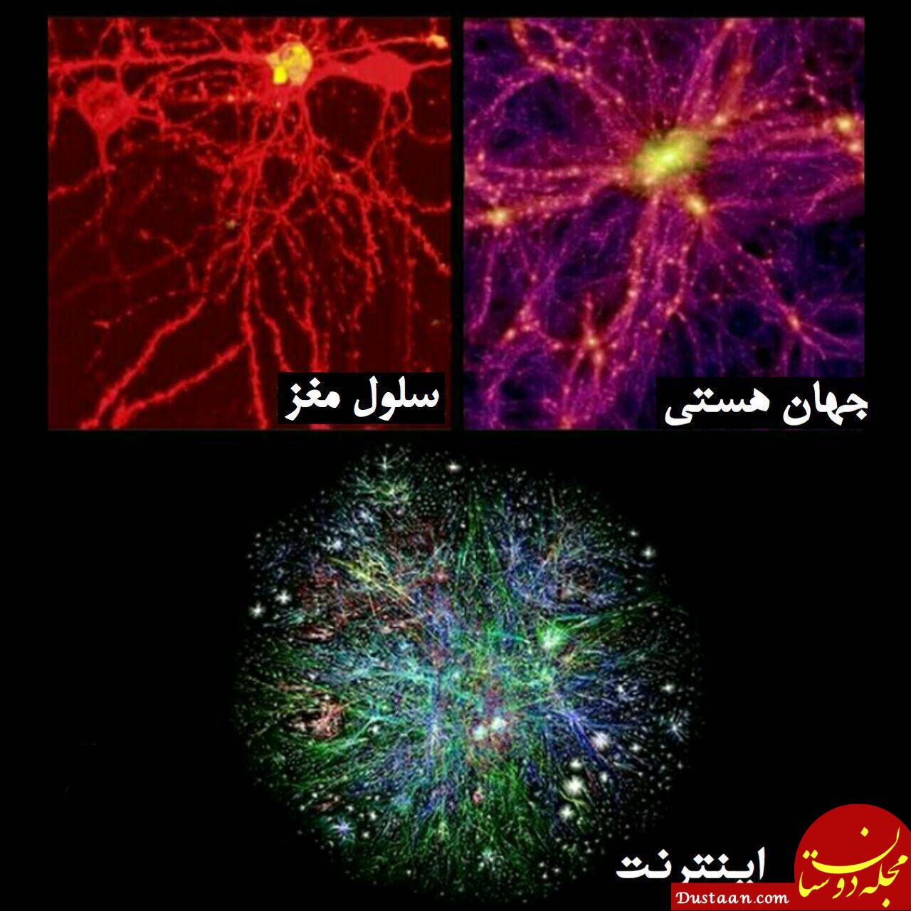 شباهت جالب ساختار مغز، جهان هستی و اینترنت! +عکس