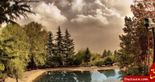 پاتوق رمانتیک بالای شهر تهران +تصاویر