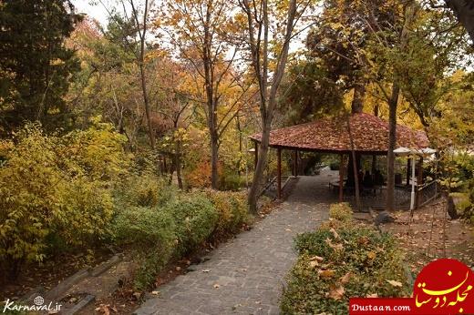 پاتوق رمانتیک بالای شهر تهران +تصاویر