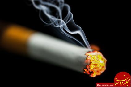 http://www.itnnews.lk/wp-content/uploads/2016/11/burning-cigarette.jpeg