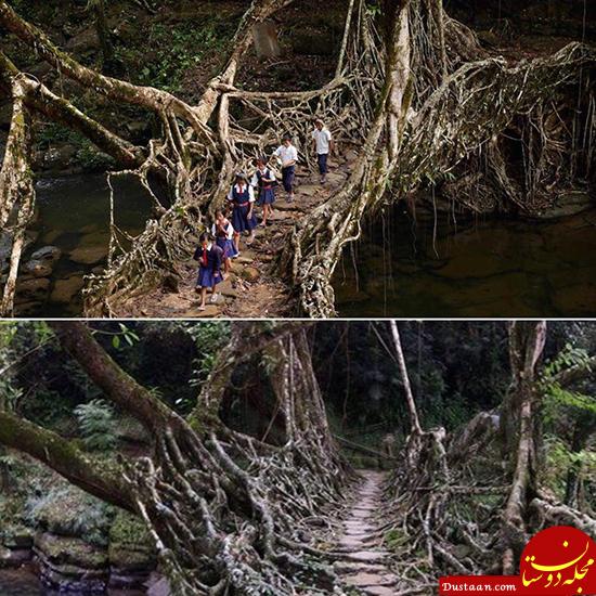 اخبارگوناگون,خبرهای  گوناگون,پل‌های تاریخی