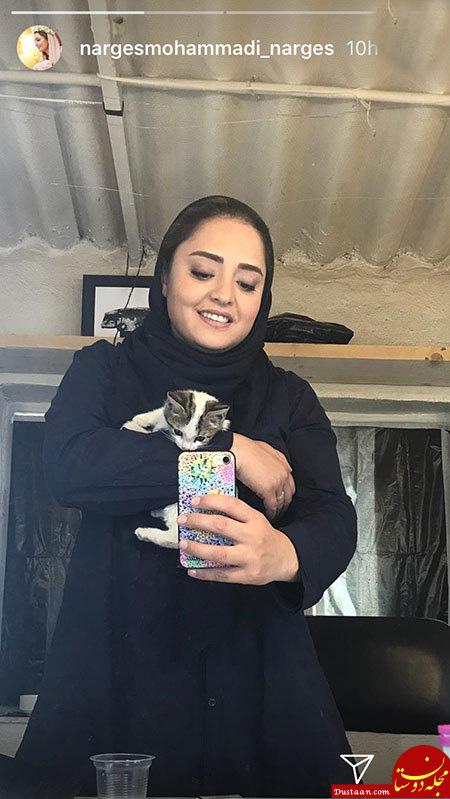 اخبار,اخبار بازیگران,اخبار فرهنگی