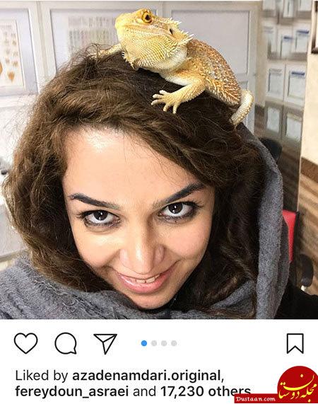 اخبار,اخبار بازیگران,اخبار فرهنگی