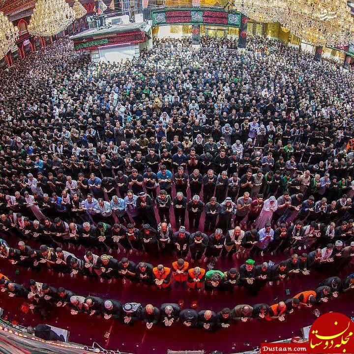 www.dustaan.com-زاویه اى دیدنى از نماز جماعت در حرم حضرت عباس (ع) +عکس