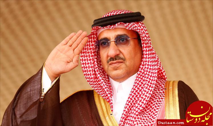 http://www.roushd.com/wp-content/uploads/2017/09/9582_533.jpg
