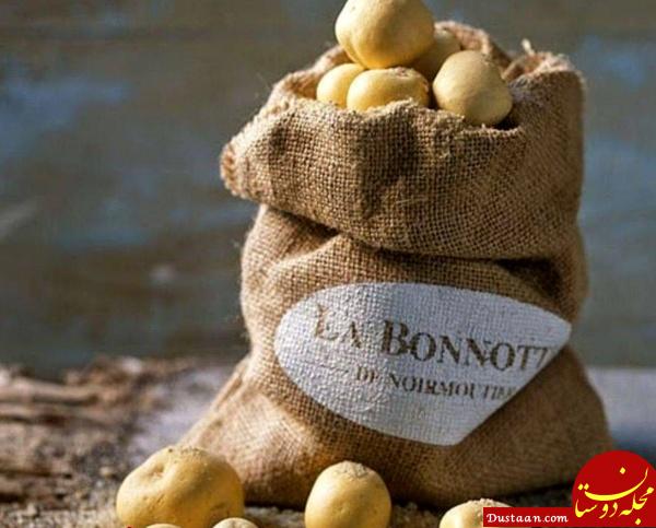 گران‌ترین سیب‌زمینى جهان/عکس