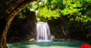 آب این آبشار شما را تبدیل به سنگ می کند! + عکس
