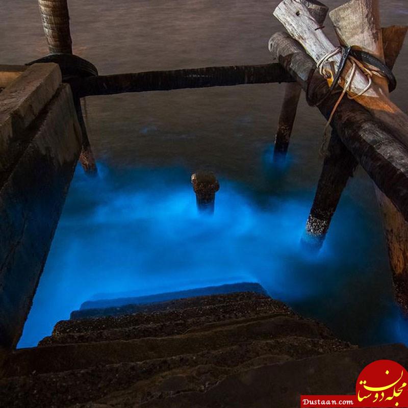 همه چیز درباره عجیب و غریب ترین و درخشان ترین خلیج کره زمین! +تصاویر