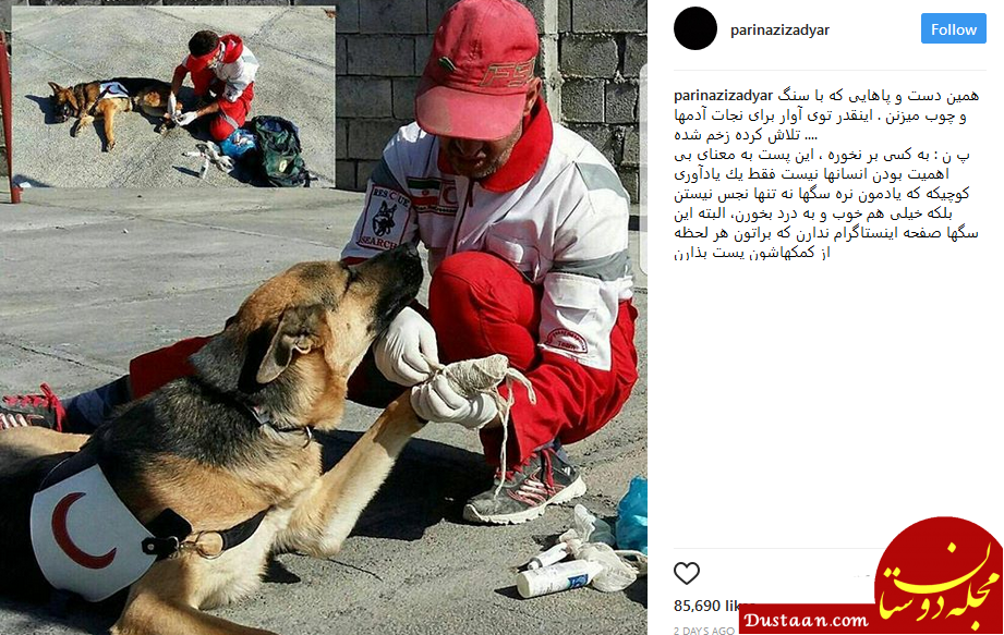 پریناز ایزدیار : سگ‌ ها نجس نیستند! +عکس