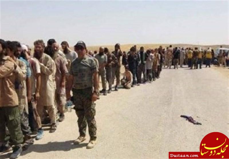 https://newsmedia.tasnimnews.com/Tasnim/Uploaded/Image/1396/07/14/1396071412084097812154664.jpg