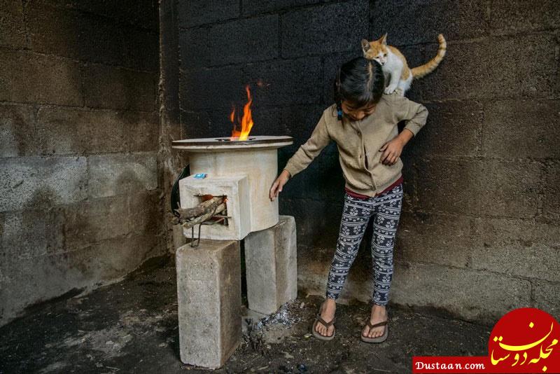 اخبار,اخبارگوناگون,بهترین عکس‌های سال ۲۰۱۷ از نگاه نشنال جئوگرافیک