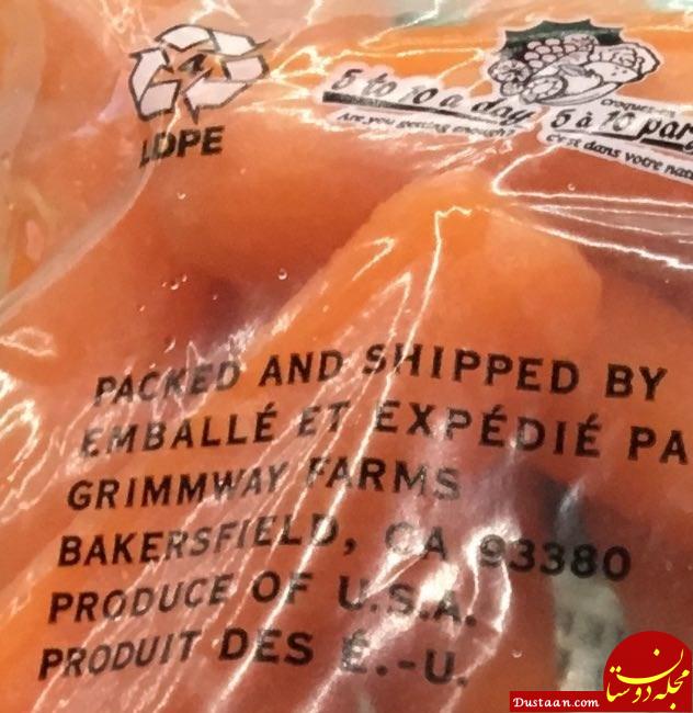 جمع آوری هویج آمریکایی از فروشگاه شهروند جمع آوری هویج آمریکایی از فروشگاه شهروند