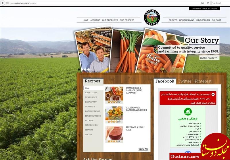 جمع آوری هویج آمریکایی از فروشگاه شهروند جمع آوری هویج آمریکایی از فروشگاه شهروند