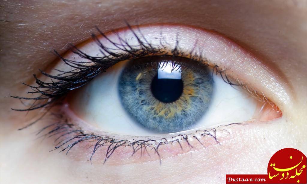 https://www.fortitechpremixes.com/wp-content/uploads/2013/05/eye-health-1024x616.jpg