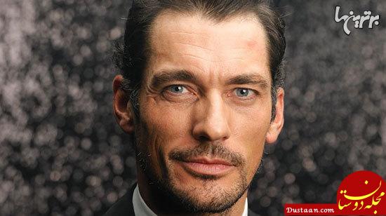 سلبریتی هایی که زیباترین چهره های هالیوود را دارند سلبریتی هایی که زیباترین چهره های هالیوود را دارند