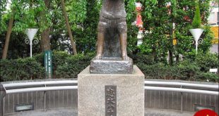 ماجرای مجسمه یک سگ در ژاپن!