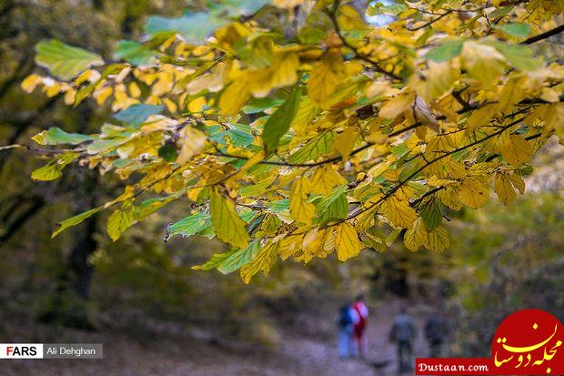 www.dustaan.com-تصاویری زیبا از طبیعت پاییزی النگدره