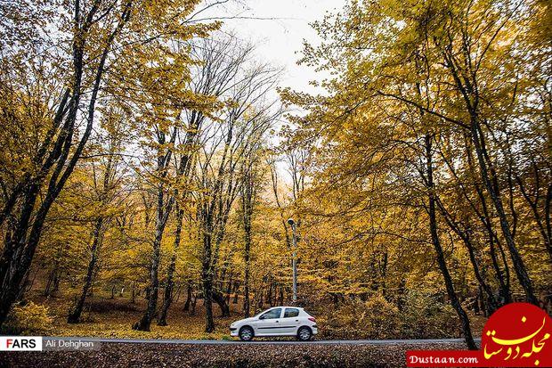 www.dustaan.com-تصاویری زیبا از طبیعت پاییزی النگدره