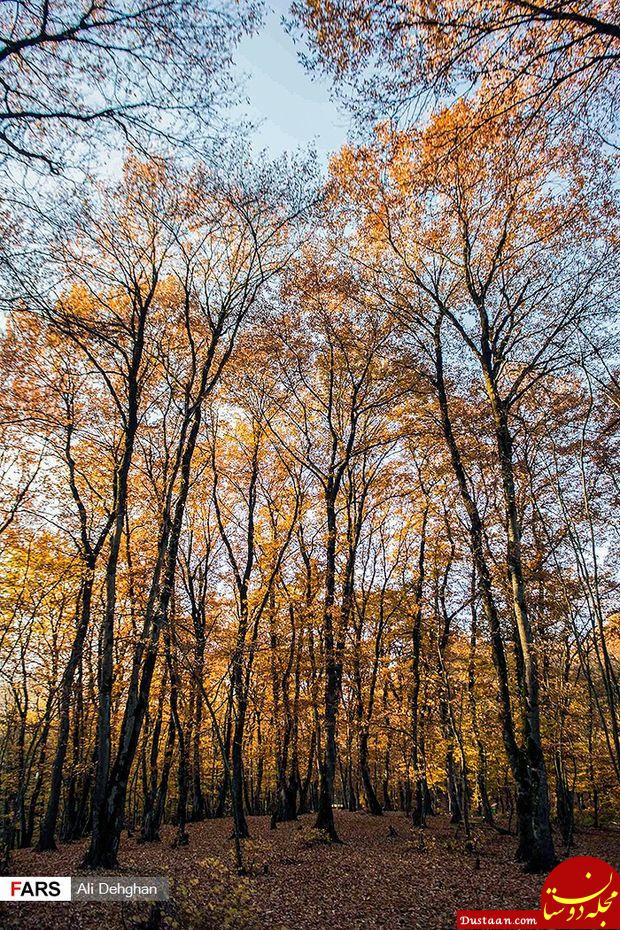www.dustaan.com-تصاویری زیبا از طبیعت پاییزی النگدره