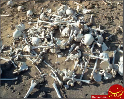 عجیب‌ترین و جدیدترین روش دفن اجساد در انگلیس!