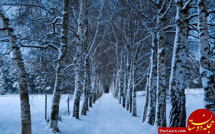 زمستان چه تاثیری بر متولدین ماه‌های مختلف سال می‌گذارد؟ +تصاویر