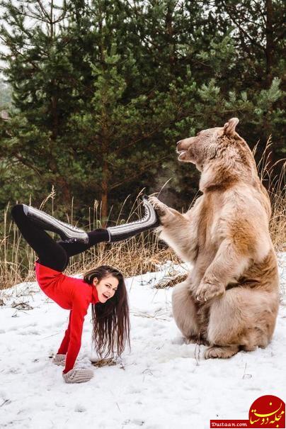 www.dustaan.com-حرکات باورنکردنی دختر جوان در کنار خرس وحشی! +تصاویر