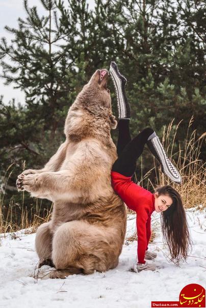 www.dustaan.com-حرکات باورنکردنی دختر جوان در کنار خرس وحشی! +تصاویر