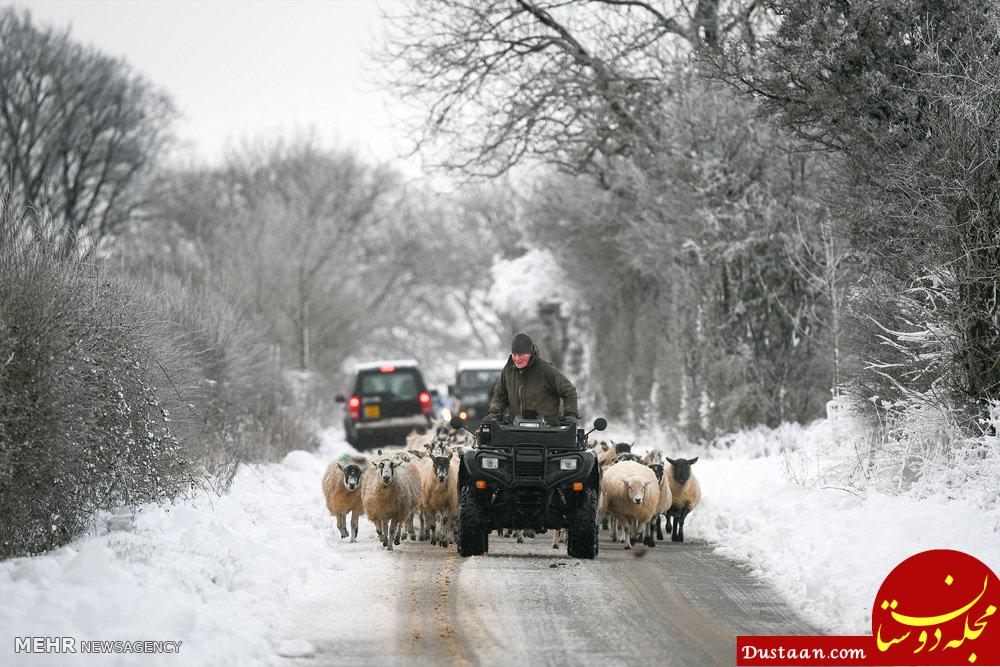 اخبار,اخبار گوناگون,برف و سرما در انگلیس
