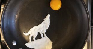 خلاقیت هنرمندانه با تخم مرغ+تصاویر