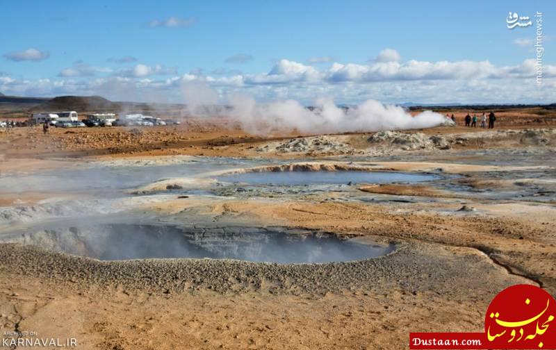 اخبار,اخبارگوناگون, سرزمین مگس ها