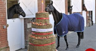 اخبار,اخبارگوناگون,جشن تولد اسب های گران قیمت