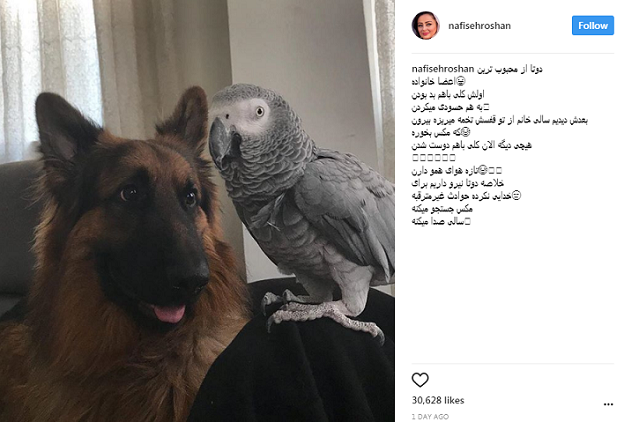 اخبار,اخبارفرهنگی وهنری,نفیسه روشن