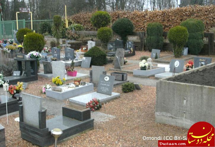 دفن حیوانات خانگی کنار صاحبانشان! +عکس