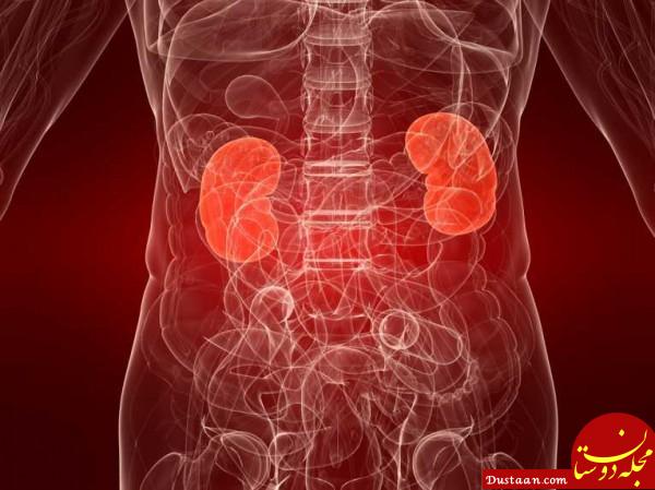 https://cdndz.healthfreedoms.org/wp-content/uploads/2016/06/Kidney_tn.jpg