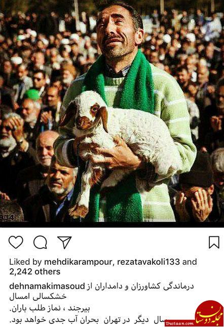 اخبار,اخبار فرهنگی,چهره ها در شبکه‌های اجتماعی