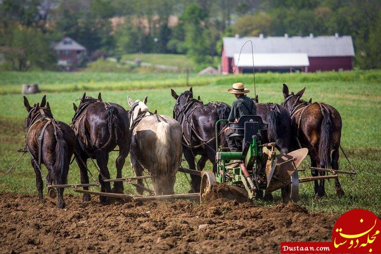 https://assets.entrepreneur.com/content/3x2/1300/20151202222032-amish-farm-work-working-build-outdoors-provide-produce-agriculture-animal-horse-plow-corn-fields.jpeg?width=750&crop=16:9
