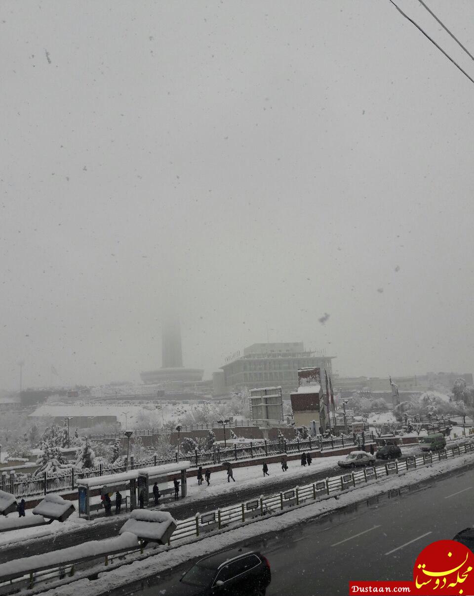 عکس: برج میلاد در برف ناپدید شد