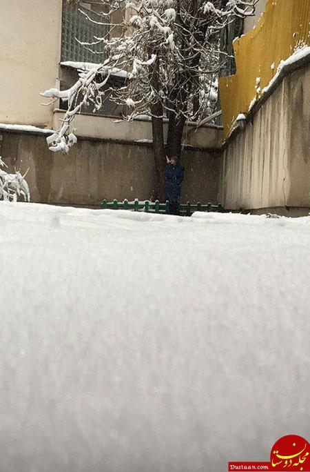 اخبار,اخبار فرهنگی,چهره‌ها در شبکه‌های اجتماعی