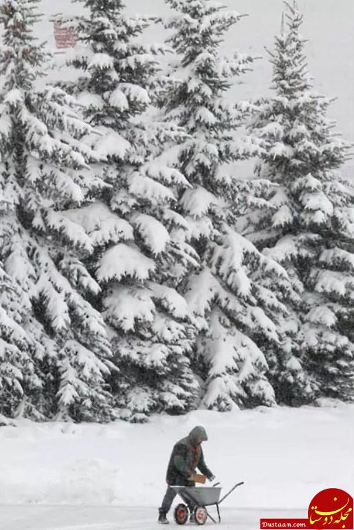 www.dustaan.com-بارش برف مسکو را سفیدپوش کرد + تصاویر