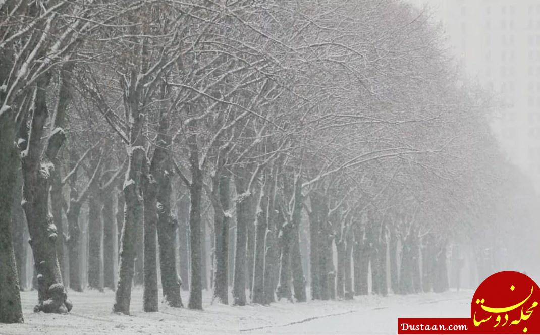 www.dustaan.com-بارش برف مسکو را سفیدپوش کرد + تصاویر