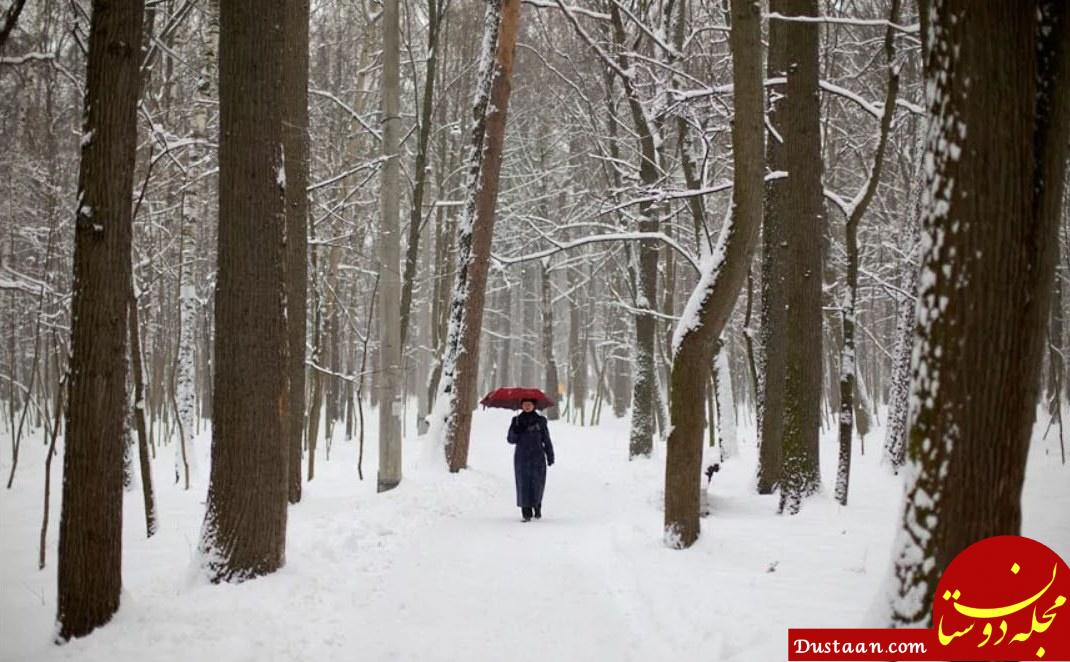 www.dustaan.com-بارش برف مسکو را سفیدپوش کرد + تصاویر