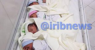 عکس: تولد هشت قلوها در بیمارستان یزد!؟