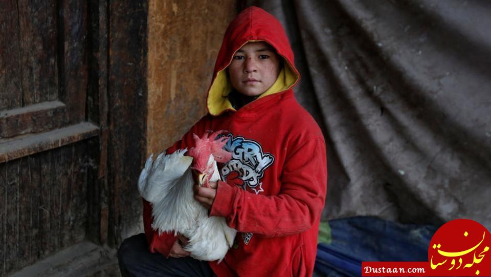 اخبار,اخبارگوناگون,بازار پرنده‌فروشان کابل