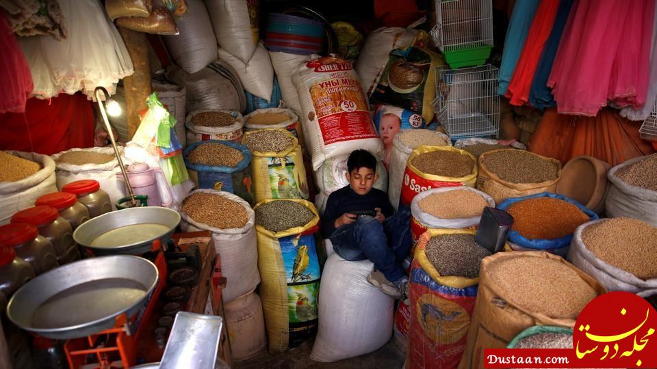 اخبار,اخبارگوناگون,بازار پرنده‌فروشان کابل