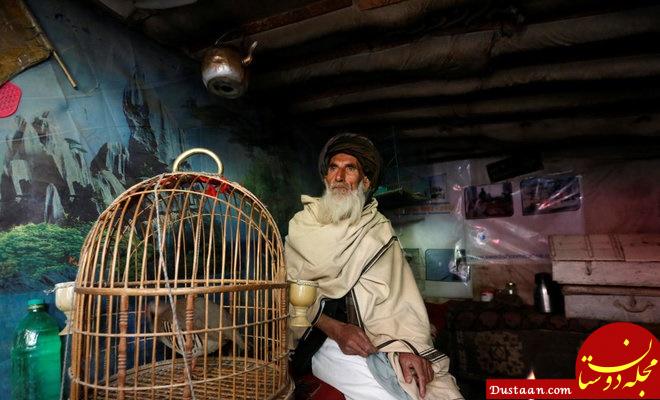 اخبار,اخبارگوناگون,بازار پرنده‌فروشان کابل