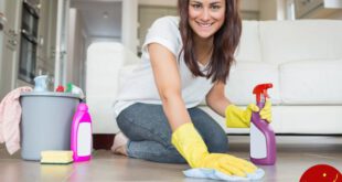 https://cdn.skim.gs/image/upload/v1456344140/msi/Woman-cleaning-apartment_dw8wfh.jpg