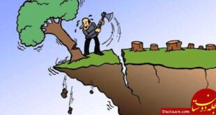 https://mseza.com/wp/wp-content/uploads/2016/11/mseza41-640x330.jpg
