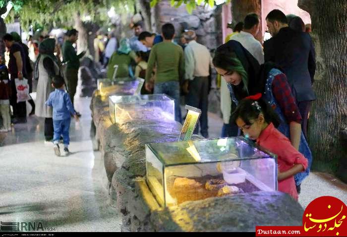 www.dustaan.com-تصاویری دیدنی از باغ خزندگان اصفهان